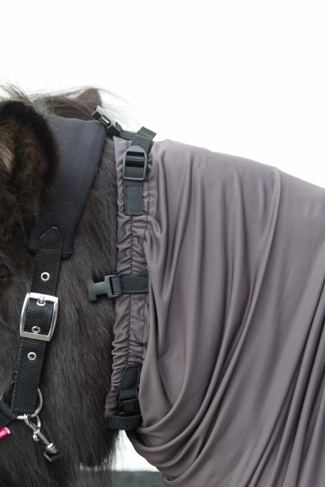 Ekzemdecke flexibel Fliegendecke für Islandpferde Fliegenschutzdecke Isländer - Bild 4 von 4