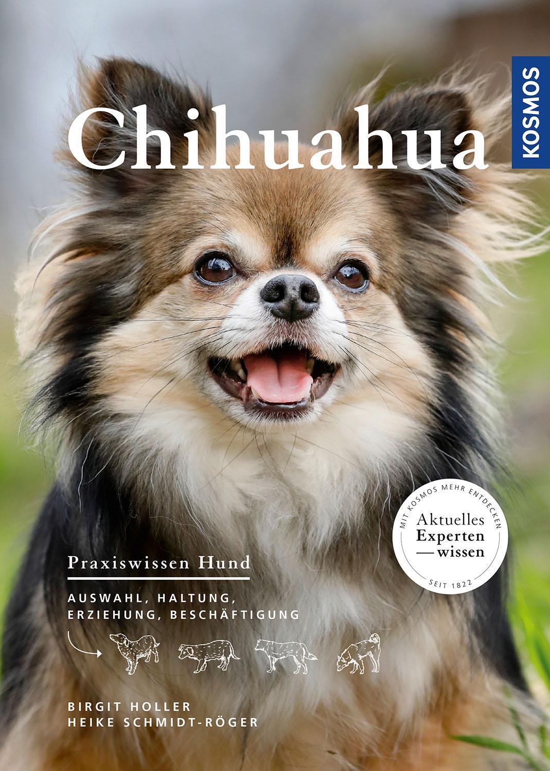 Thumbnail - Chihuahua, Birgit Holler