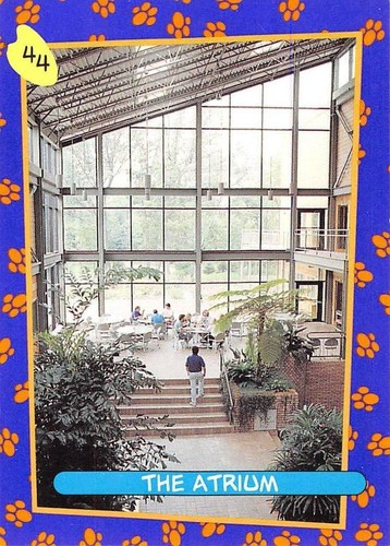 GARFIELD PREMIER EDITION BASE / BASIC CARDS 1 TO 100 BY SKYBOX CHOOSE - Picture 56 of 113