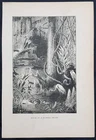 1880 Original Antique Print of a Scene in a Florida Swamp, America