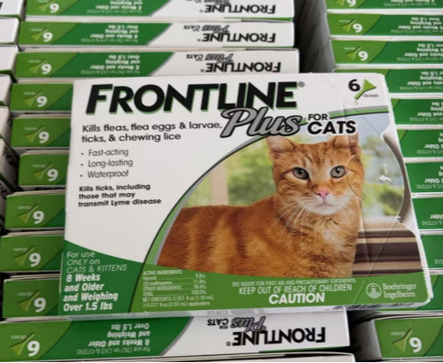 𝗙𝗥0𝖭TLINE Plus For Cats 6Doses  Fast Shipping