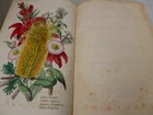 1854 - Trees, Plants & Flowers by Mrs Sarah Bowdich Lee - Hand Colour Plts HB