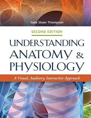 Understanding Anatomy & Physiology 2e: A Visual, Auditory, Interactive A - GOOD