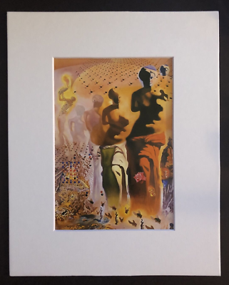 額装品/Hallucinogenic Toreador/ダリ/ポスター s-l1200.jpg
