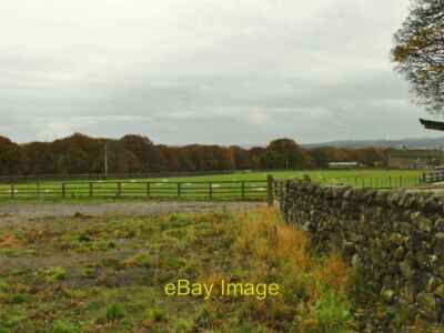 Foto 6x4 Schafe auf Sheriff Farm Bingley\/SE1139 von Lode Pit Lane aus gesehen c2021