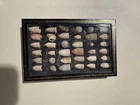 Civil War bullet collection in case, 36 Virginia