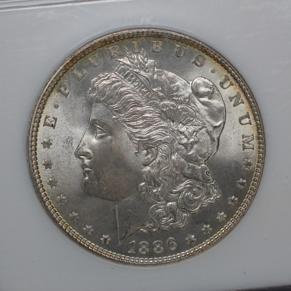 1886 Morgan Silver Dollar NGC MS 65 | eBay