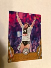 2018 TOPPS WWE DANIEL bryan 'bronze