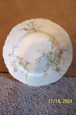 Vintage Homer Laughlin Pink Floral Bread Plate