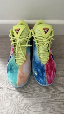 Nike Monopoly LeBron 22 Tie-Dye Low Top Basketball HV8080-300
