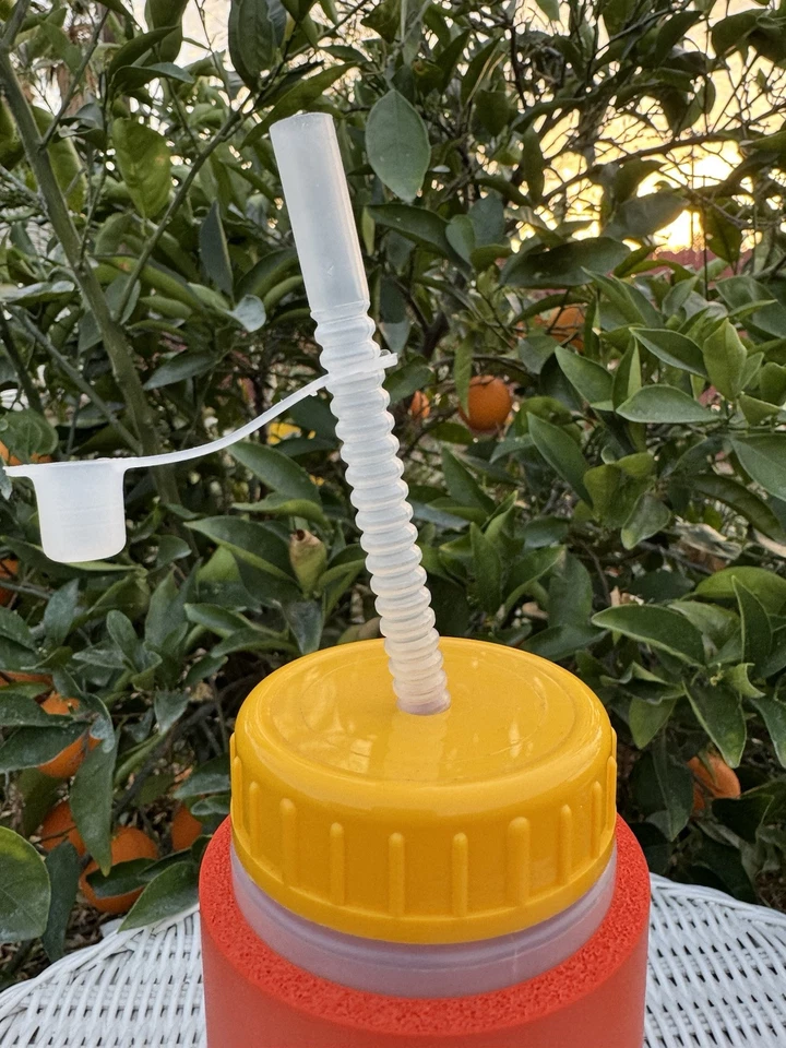 Garrafa de água vintage anos 90 Here Comes The Sun laranja espuma isolada palmeiras EUA - Imagem 4 de 4