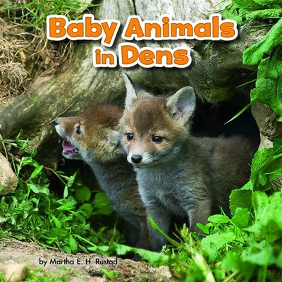 Baby Animals in Dens (Baby Animals and Their Homes),Rustad, Mart