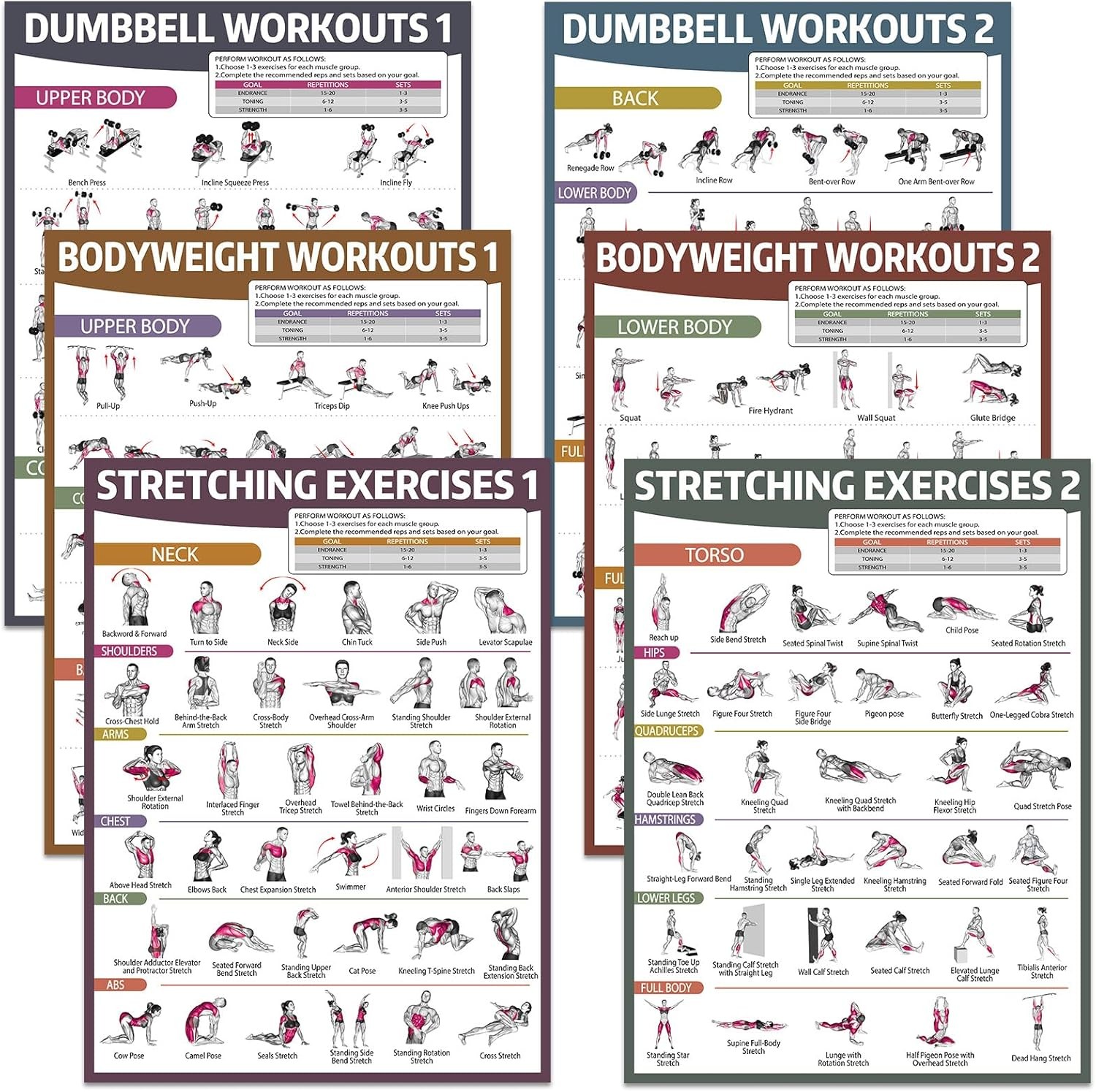 gisgfim 6PCS Workout Posters for Home Gym Dumbbell Bodyweight Stretching Workout