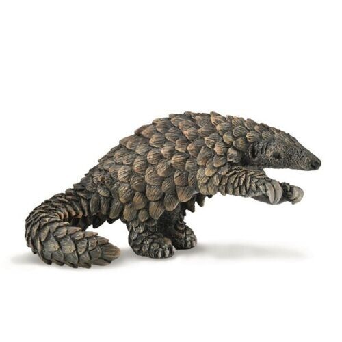 Pangolinarmadillo s-l1200.jpg