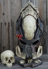 Predator Helmet