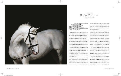 Die schönsten Pferde der Welt: Ein illustrierter Führer japanisches Buch - Bild 3 von 7