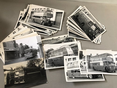 CUMBERLAND vintage collection job lot BUS photographs buses photos