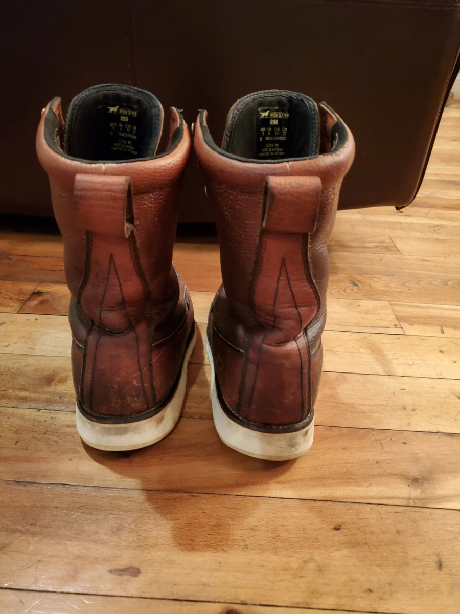 Irish setter 896 sales