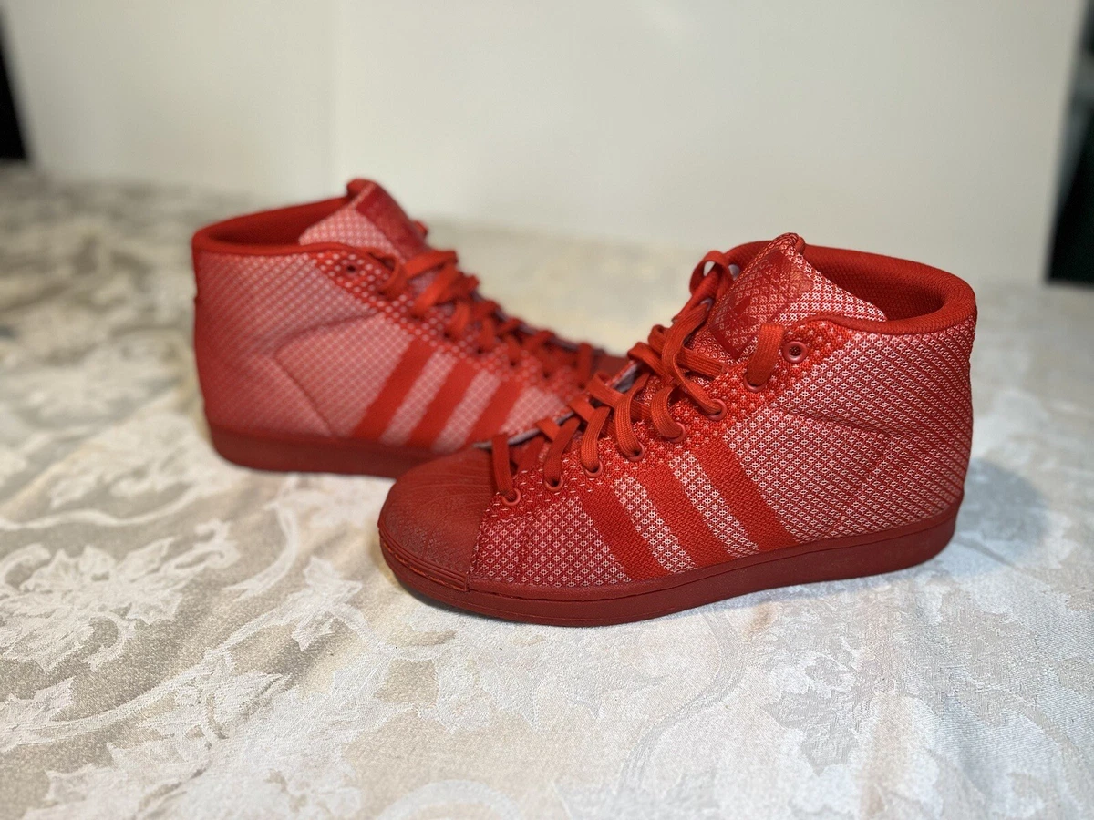 Hi top top shell toe adidas