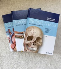 prometheus lernatlas der anatomie