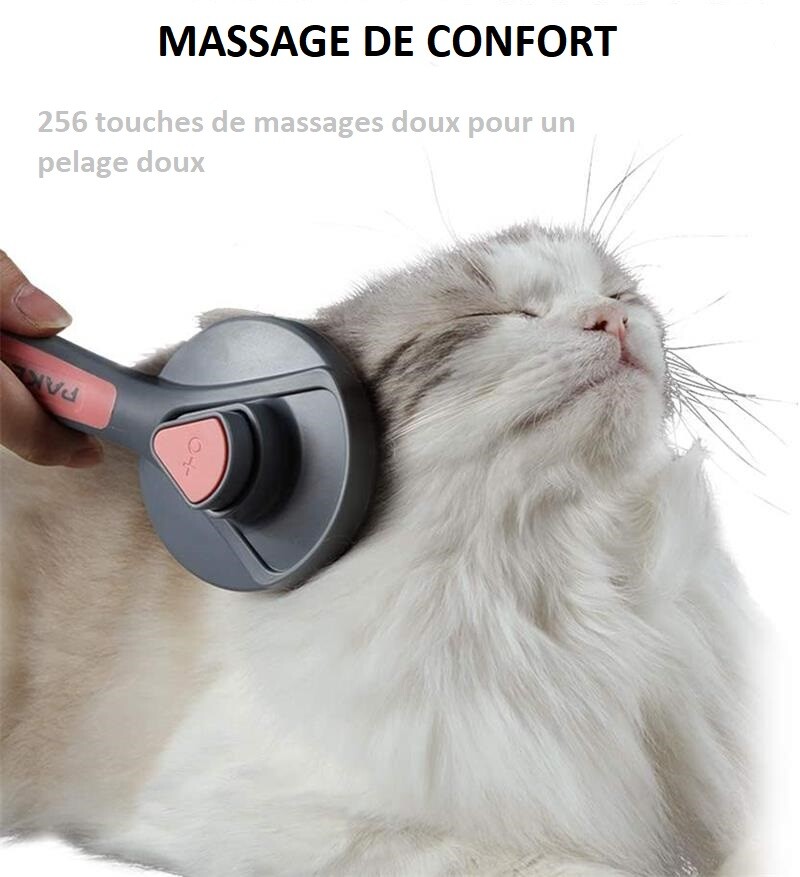 Brosse Activ Pet, Brosse Pour Chat, Peigne Anti-poils Pour Chats Et
