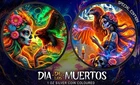 2024 Mexico Libertad Golden Eagle 1oz Black Ruthenium Coloured Silver Coin
