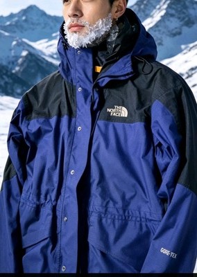 The North Face Gore Tex Mountain Parka Large Lila 90er Gebraucht 