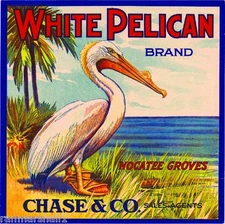 Nocatee Florida White Pelican Orange Citrus Fruit Crate Label Art Print