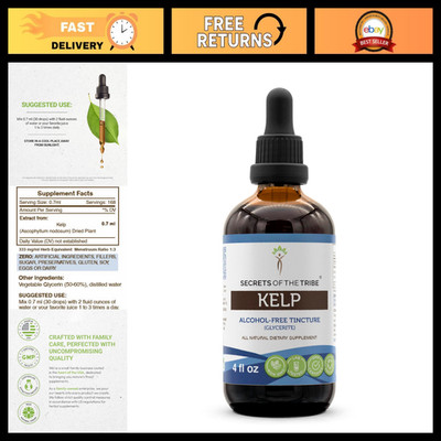 Alcohol-Free Kelp Tincture Liquid Extract - Ascophyllum Nodosum, 4 FL OZ - Herba