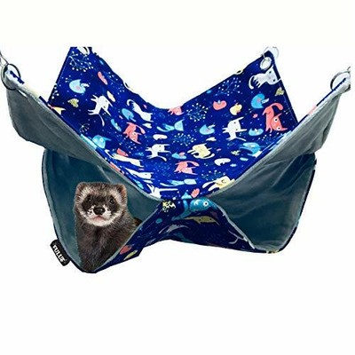 ferrets in hammocks