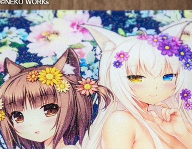 Nekopara Neko Works Acrylic Panel B5 Azuki Coconut Very Rare F S Jp Kawaii For Sale Online