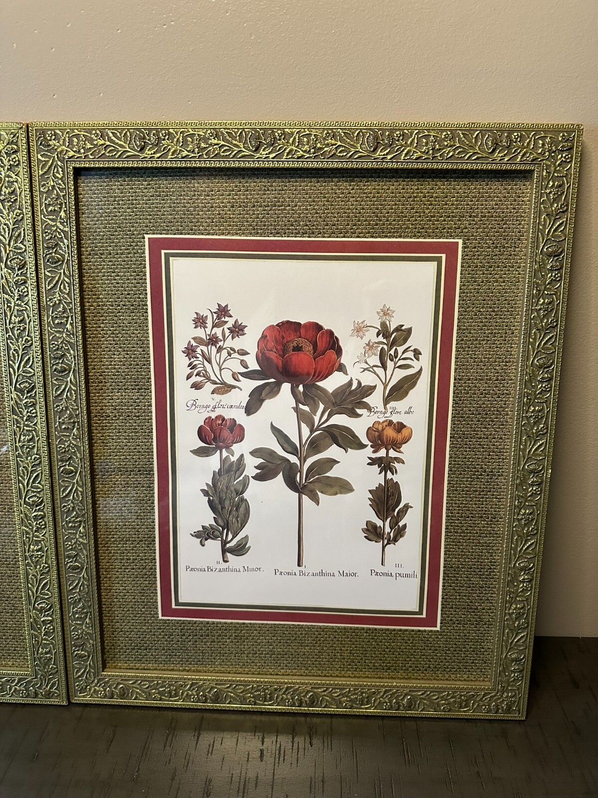 Set of 2 Gold Framed Botanical Flower Prints | Vintage Wall Art 18x14