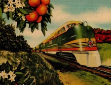 Seaboard Railway Streamline Train Florida Groves Linen Postcard Gulf Coast News