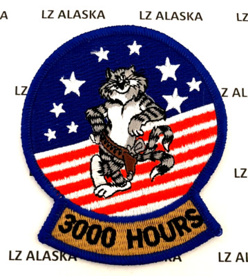 US NAVY F-14 TOMCAT 3000 HOURS AIRCREW FLIGHTTIME STATUS PATCH N8