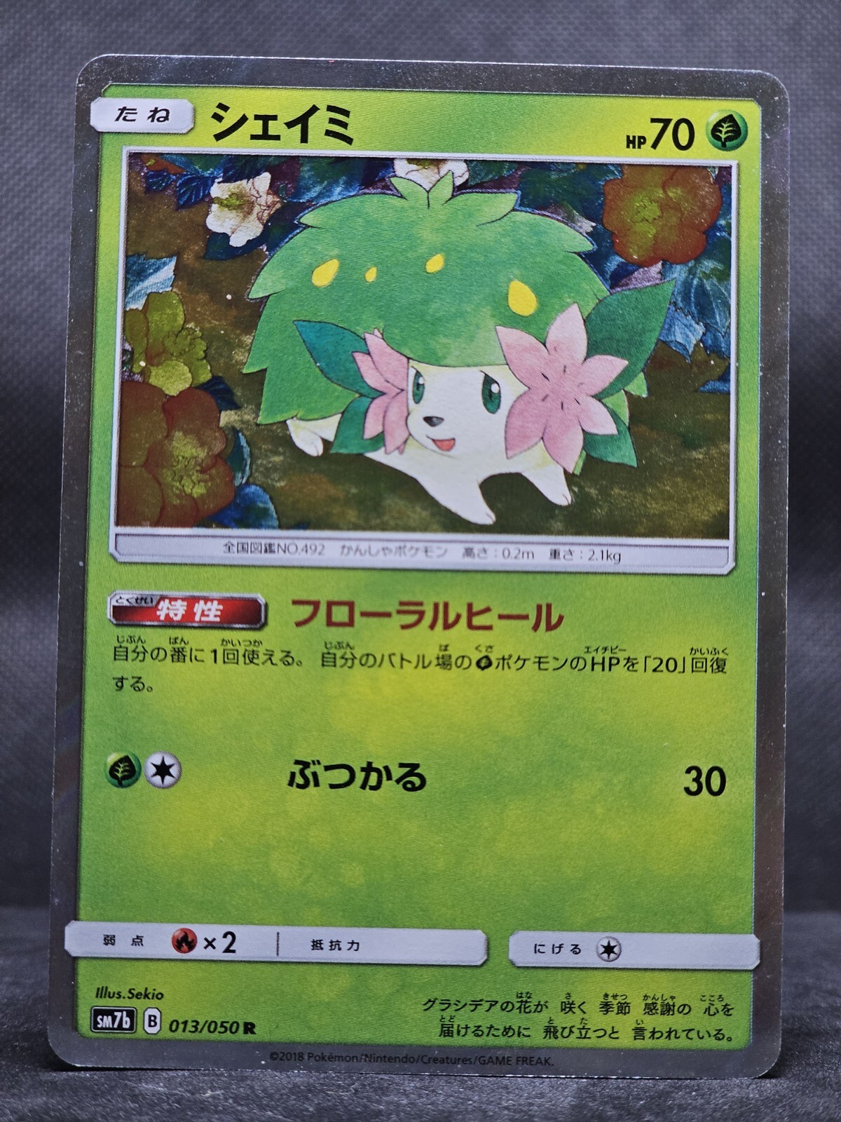 Shaymin 013/050 SM7B Fairy Rise 2018 Japanese Pokemon Card
