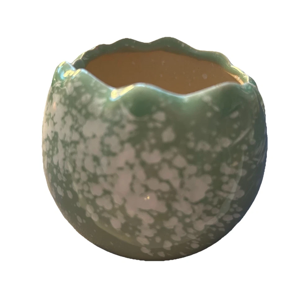 "Pequeña maceta para plantas suculentas verde salvia claro y blanco moteado 3"" a través" Foto 3 de 4