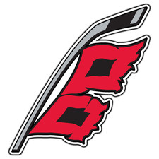 Carolina Hurricanes Twig Flag Logo #2 Hockey Fan Sticker Waterproof Vinyl Decal
