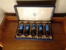 5  Brightson True Blue Radio Tubes and case For Atwater Kent Breadboard, Others