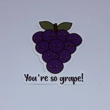 Cute Fruit Sticker “You’re So Grape” Inspirational Kids Journal Decal L Art Tc9