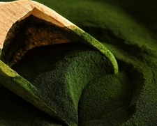 Chlorella Organic Powder Cracked Cell ~ Chlorella Pyrenoidosa ~ 100% Premium 