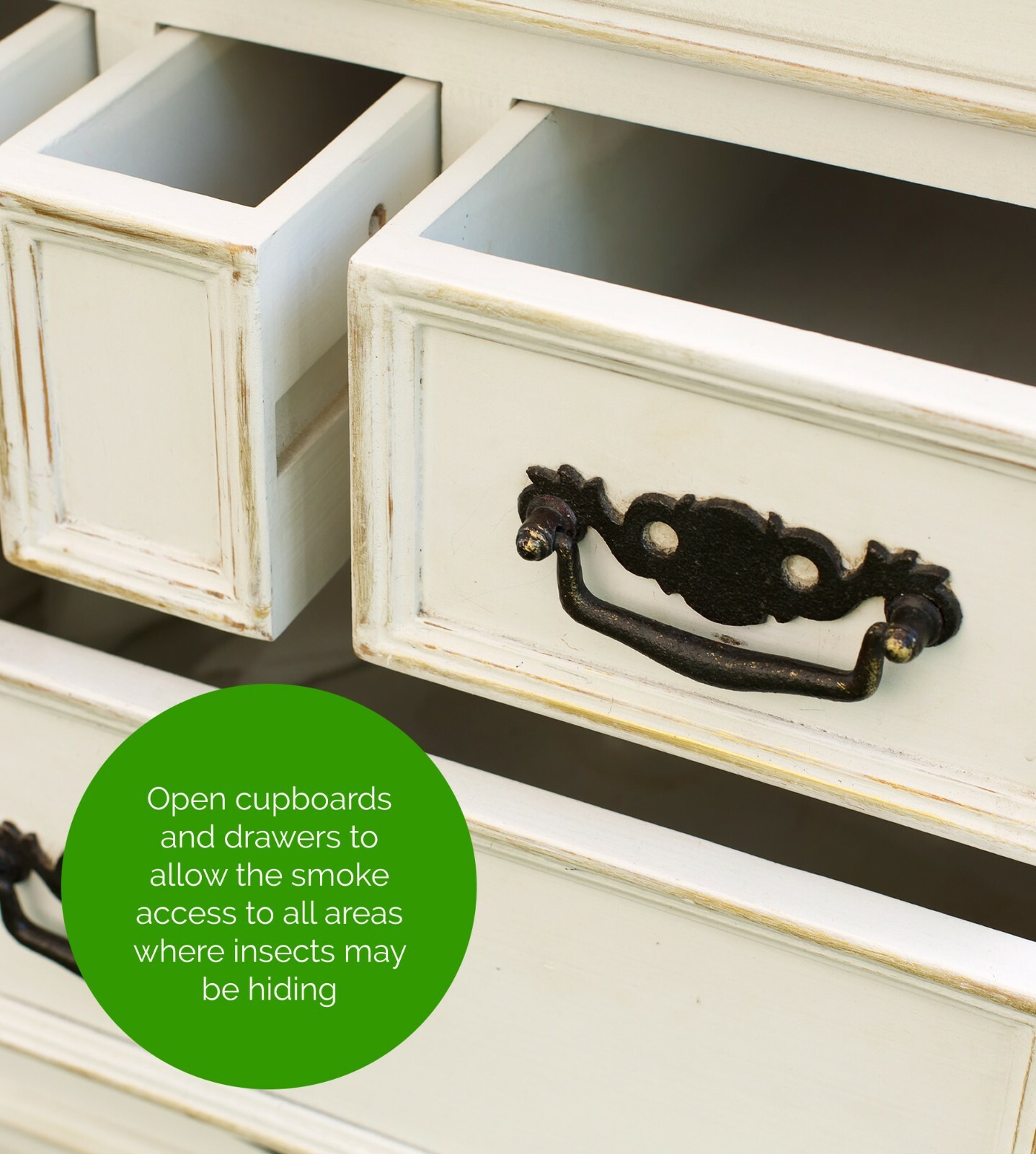 Xterminate Bed Bug Killer Spray & Smoke Foggers Pest Kit, Treatment for