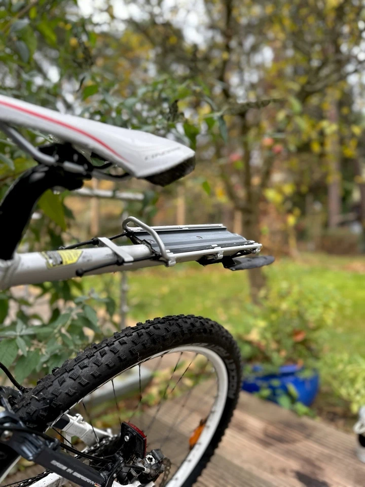 Focus Super Bud, MTB- Trail, Track, Downhill - Bild 2 von 4