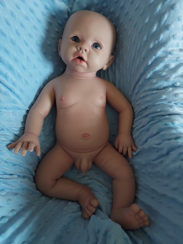 Bébé garçon entièrement en silicone de platine de 49cm pour 3kg700 - Imagen 2 de 8