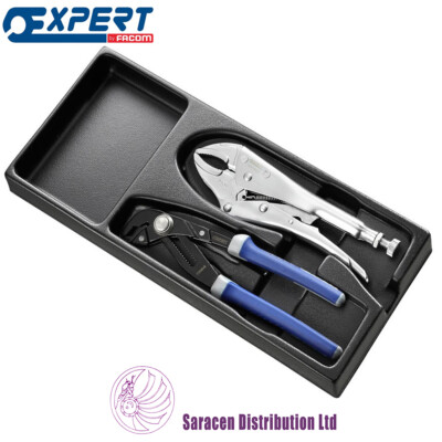 EXPERT BY FACOM 2 PIECE SLIP-JOINT/LOCKING PLIERS SET IN MOULDED TRAY - E194944