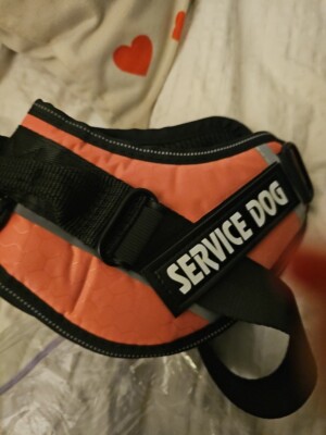 Pet Dog Puppy Soft Harness Vest Adjustable Reflective Service ESA Dog M