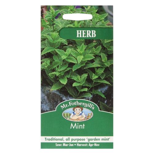 Mr Fothergills Herb Seeds Garden Mint Grow Your Own Perennial Cooking Herbs - Picture 1 of 2
