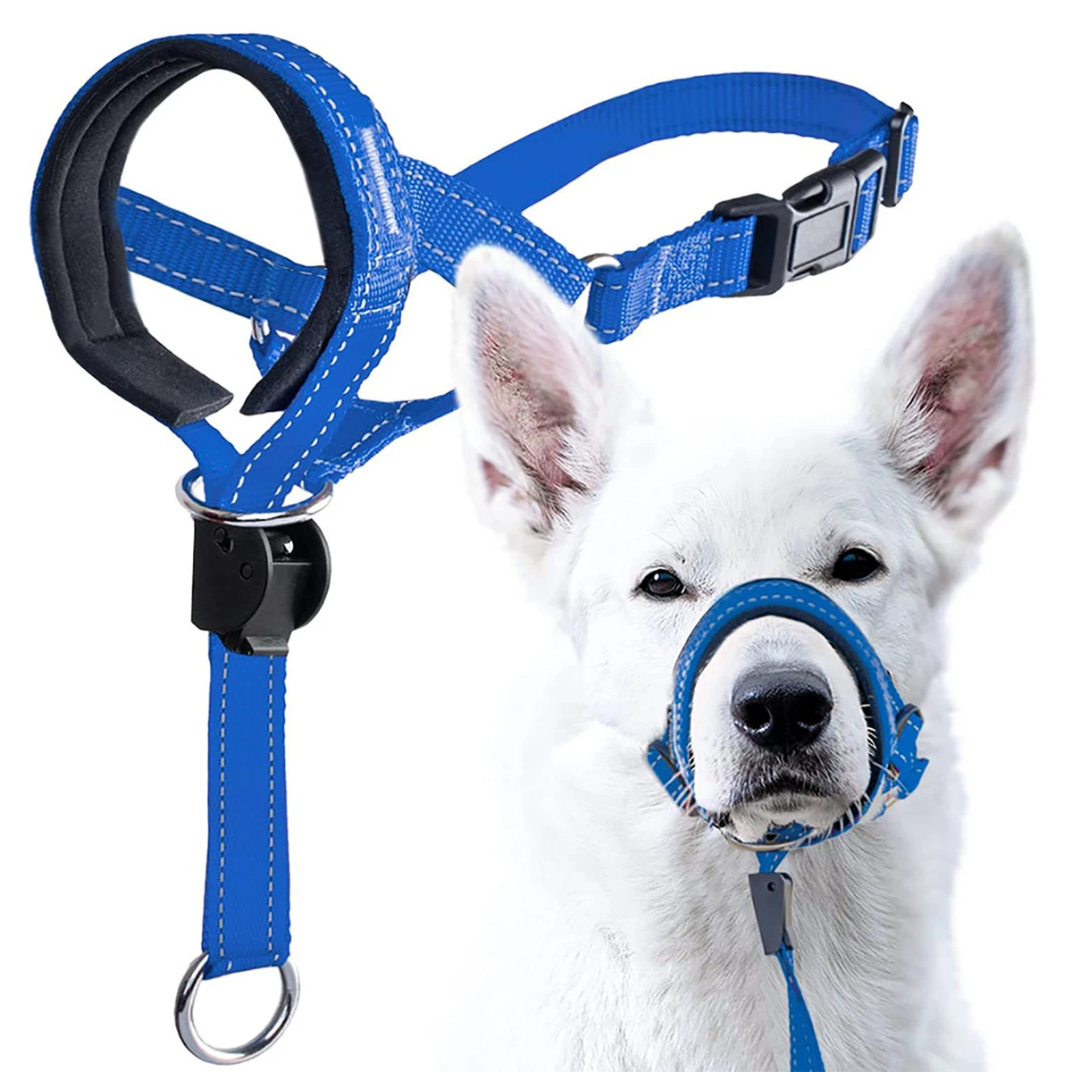 Chew guard sales leash protector