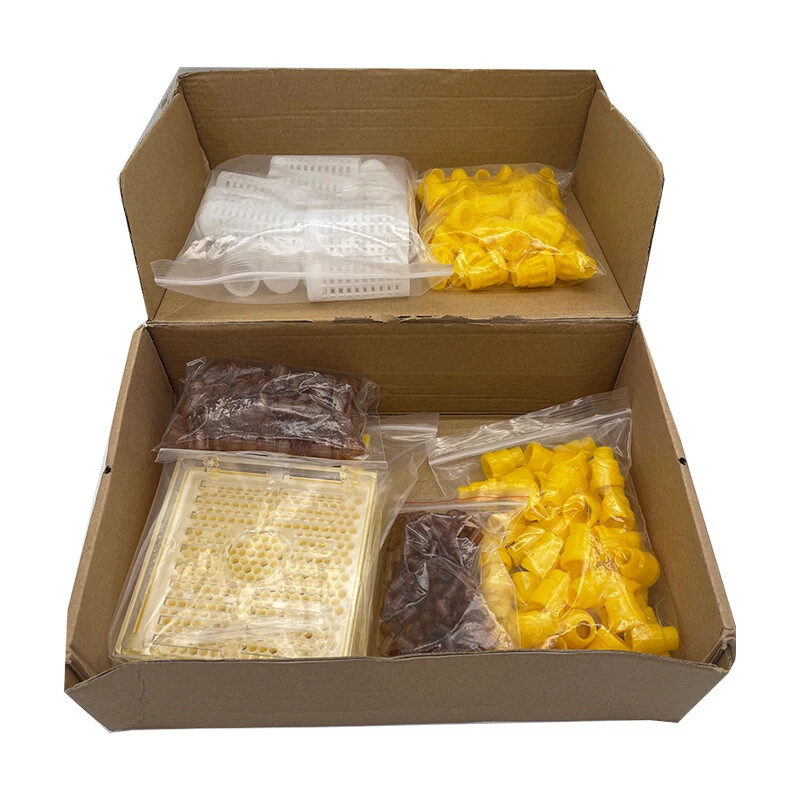 Queen Rearing Kit Nicot Bee Queens Rearing System Queen Bee Larva Move ...