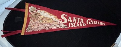 Vintage Santa Catalina Pendant 25 inches