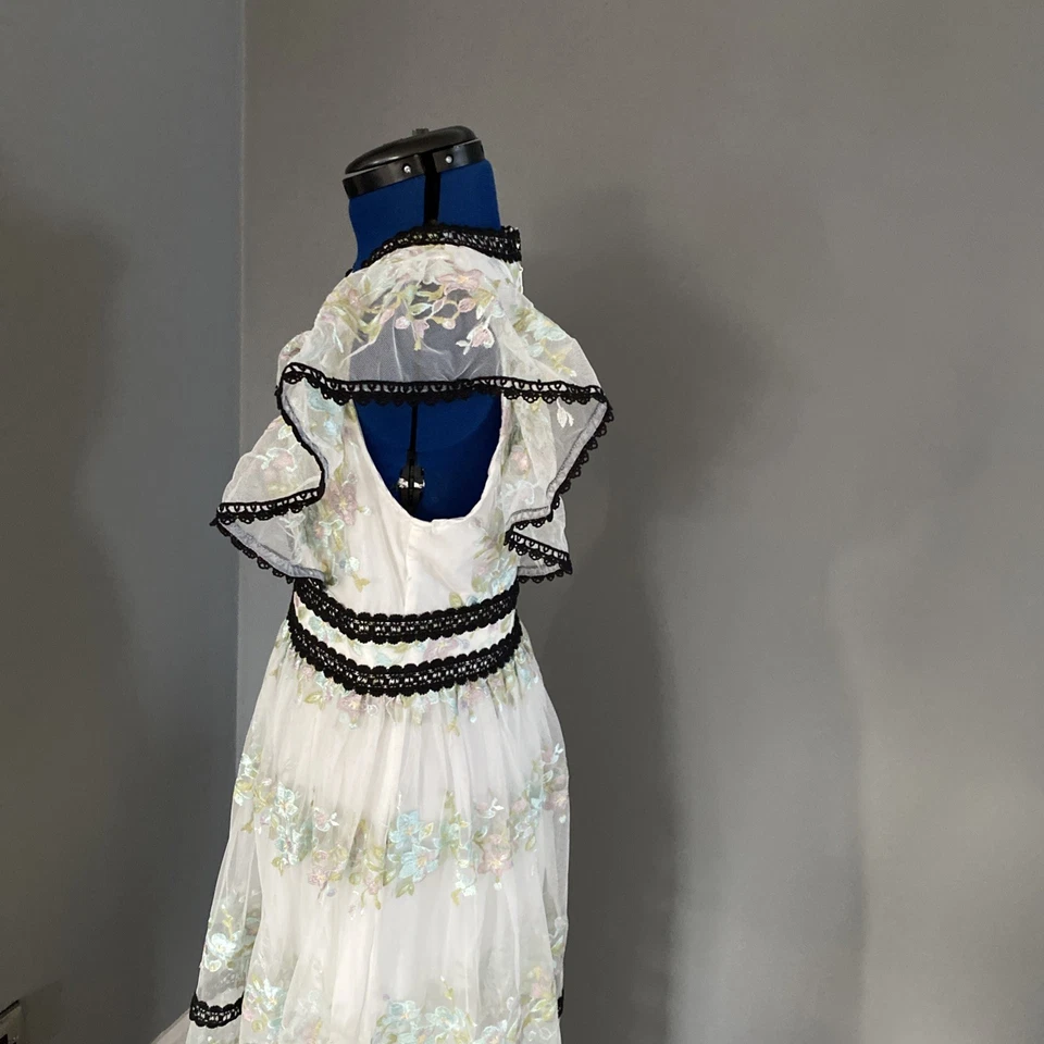 BNWT Ladies COAST Size 10 Floral Embroidered  Chiffon Dress With Lace Trim - Image 3 of 4